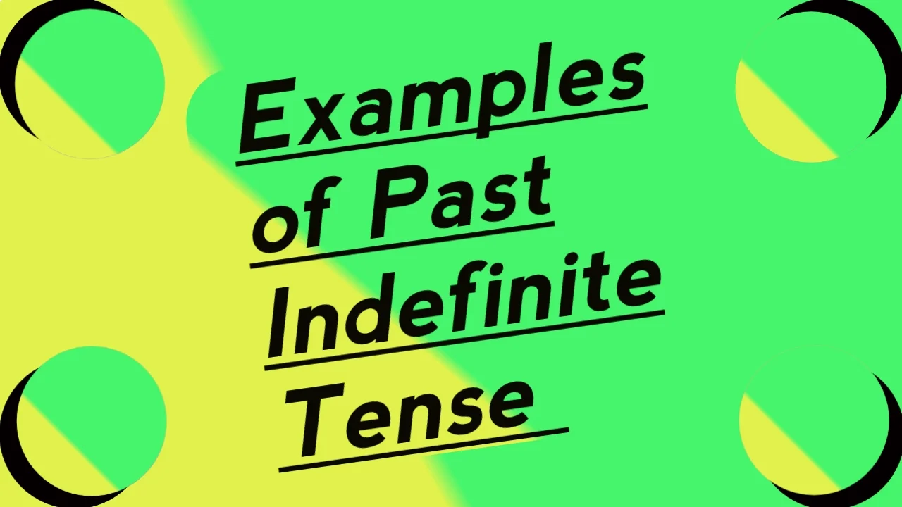 Examples of Past Indefinite Tense