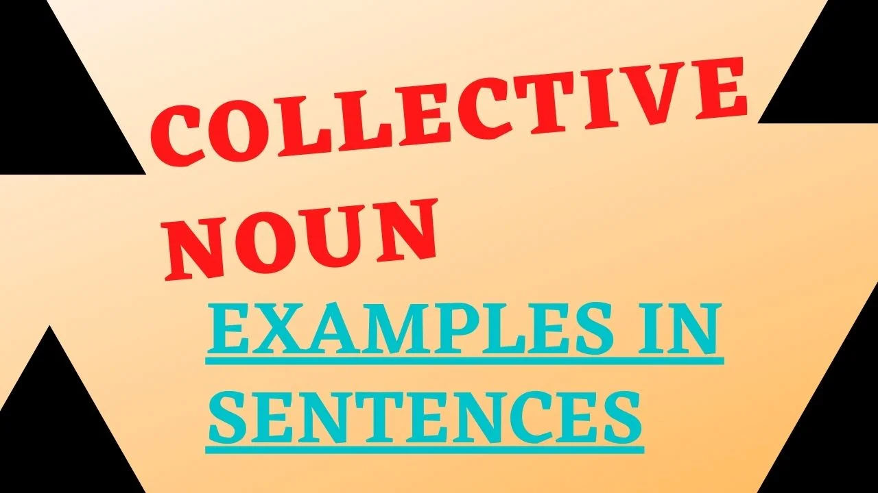 Collective noun examples in sentences