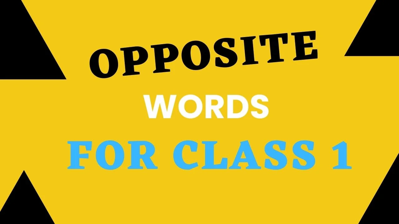Opposite words for class 1